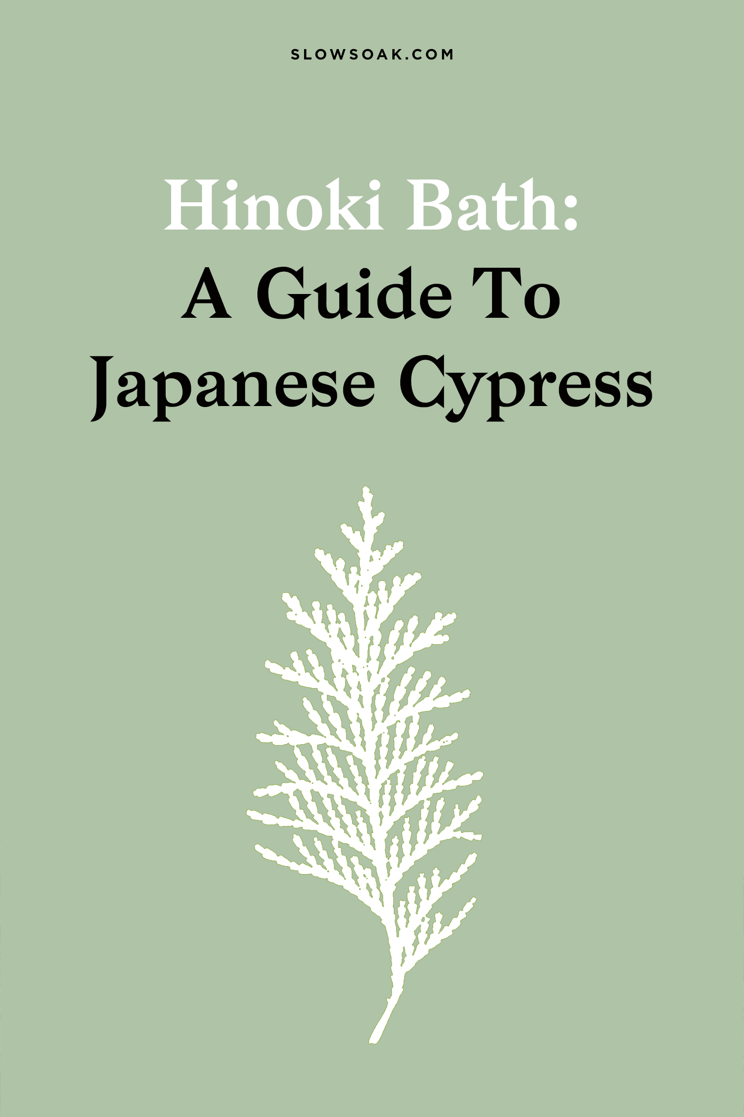 Hinoki Bath Products 12 Japanese Cypress Favorites Slow Soak